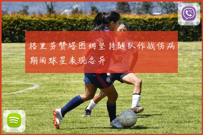 格里芬赞塔图姆坚持随队作战伤病期间球星表现各异