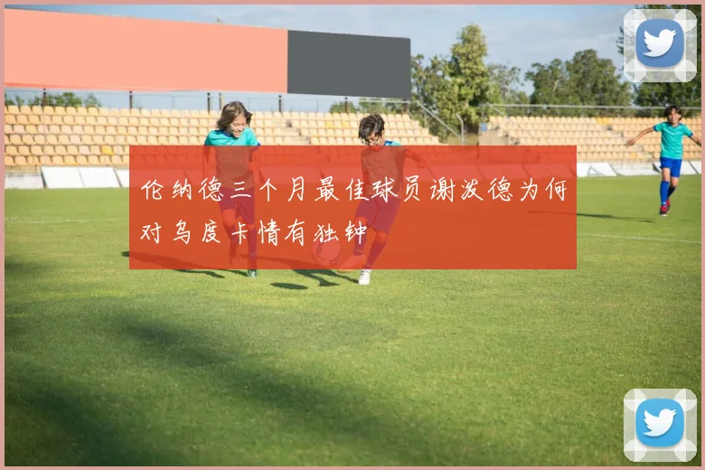 伦纳德三个月最佳球员谢泼德为何对乌度卡情有独钟