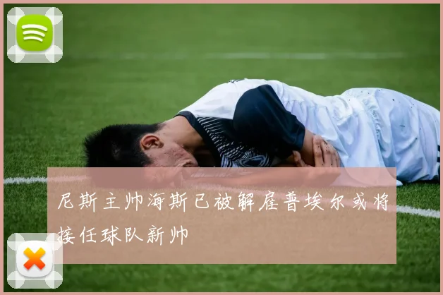 尼斯主帅海斯已被解雇普埃尔或将接任球队新帅